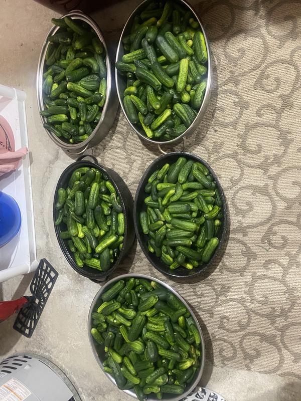 Photo - commentaire&nbsp;5.