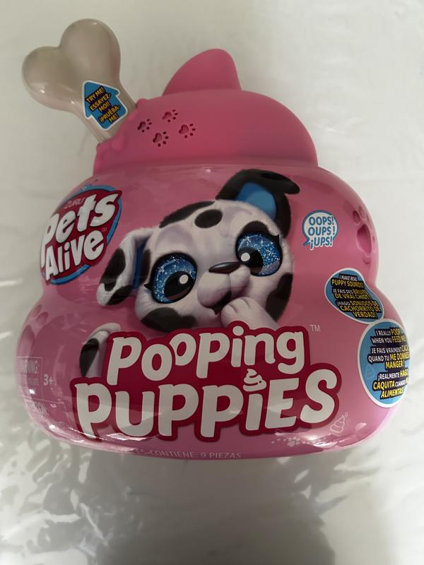 Photo - commentaire&nbsp;2.