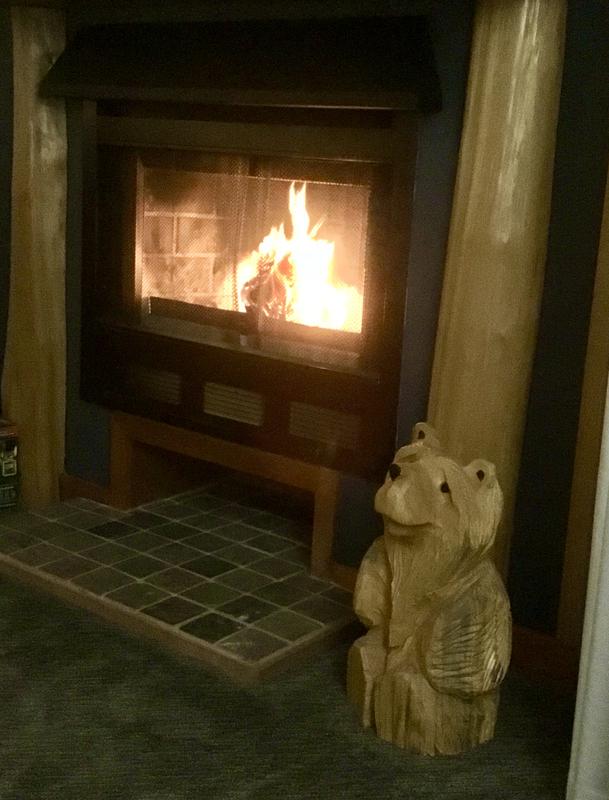 Cosy fire with Enviro- log