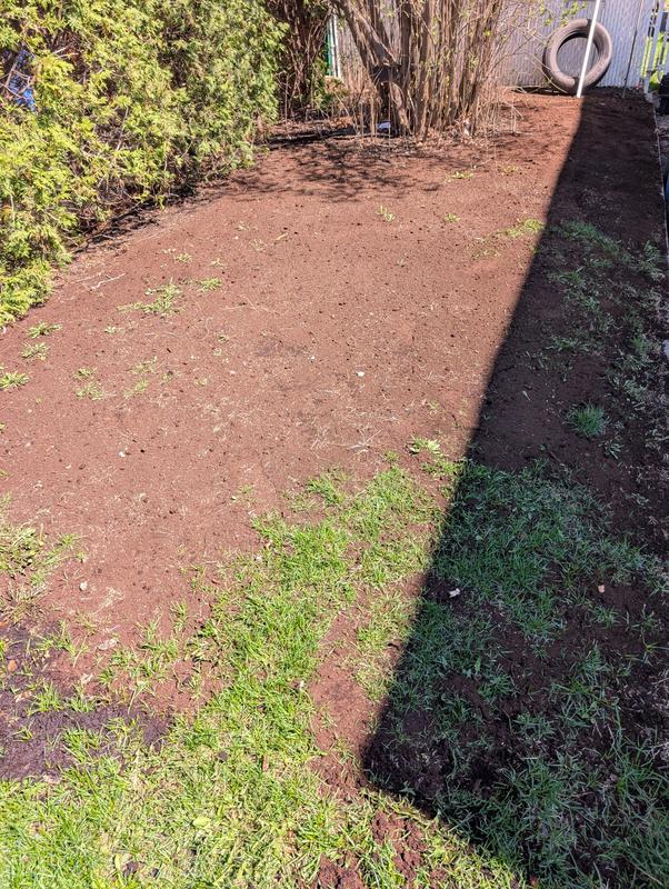 Photo - commentaire 2.