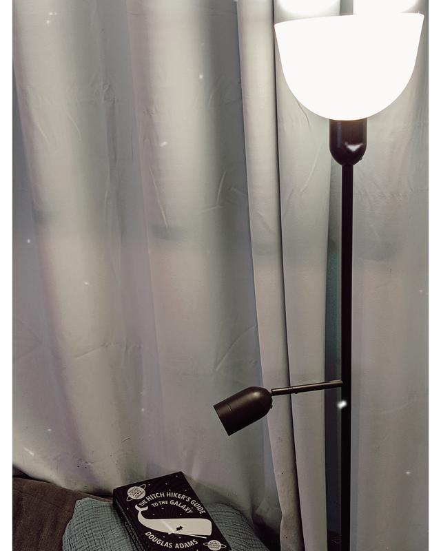 Photo - commentaire 7.