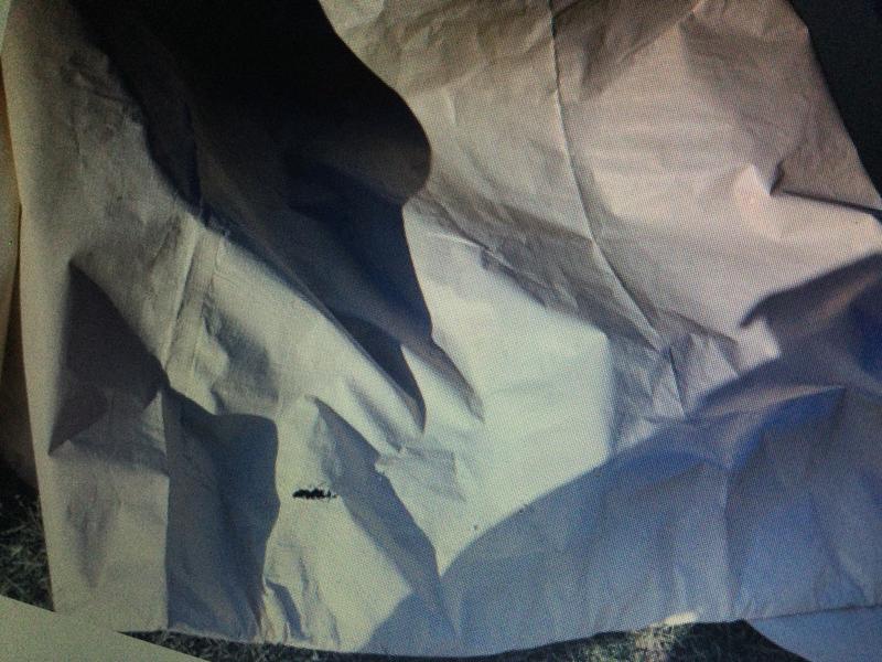 Photo - commentaire 7.