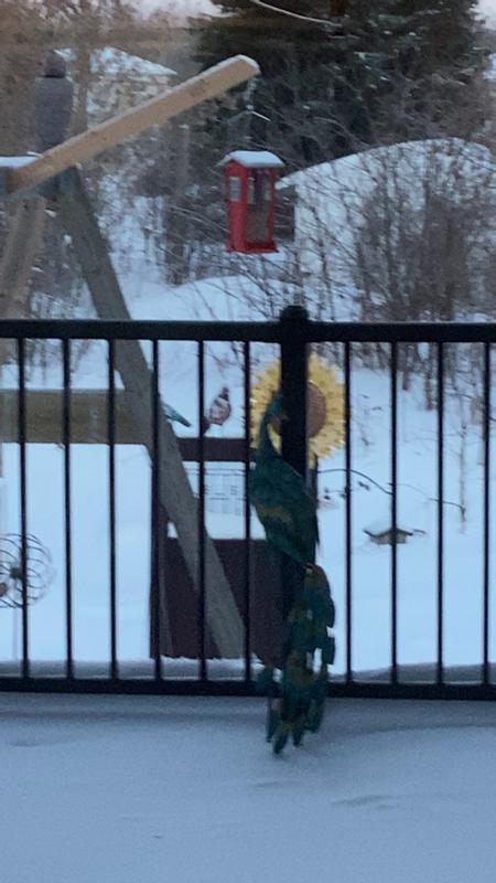 Photo - commentaire&nbsp;1.