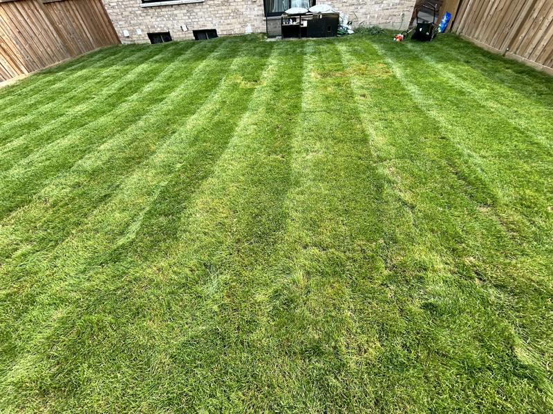 Photo - commentaire 1.