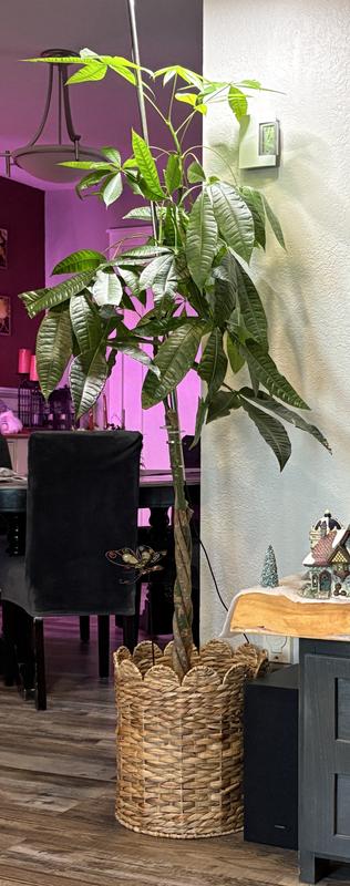 Photo - commentaire&nbsp;1.