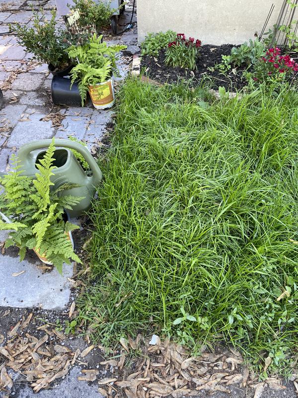 This was a bare, high traffic area.