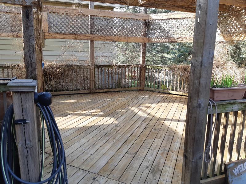 Photo - commentaire 7.