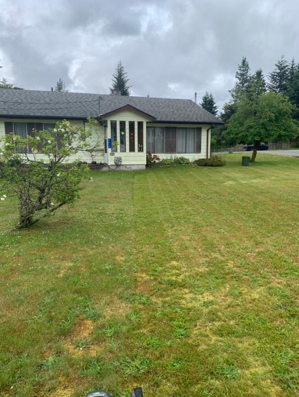 Half cut, Half uncut