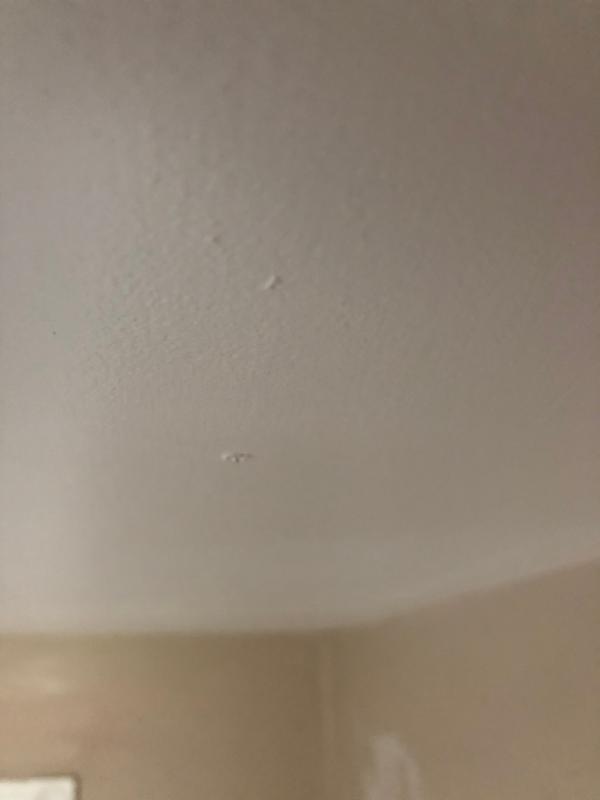 Photo - commentaire&nbsp;2.