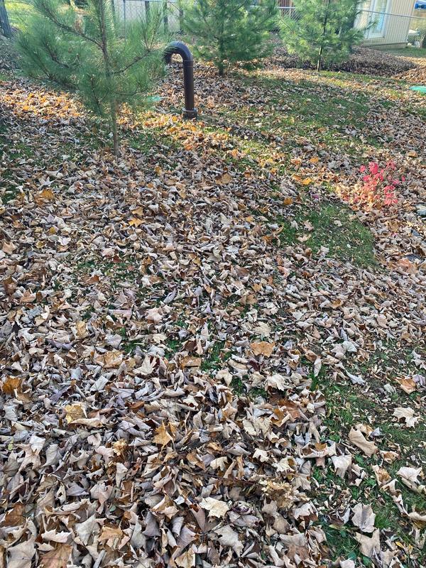 Photo - commentaire&nbsp;1.