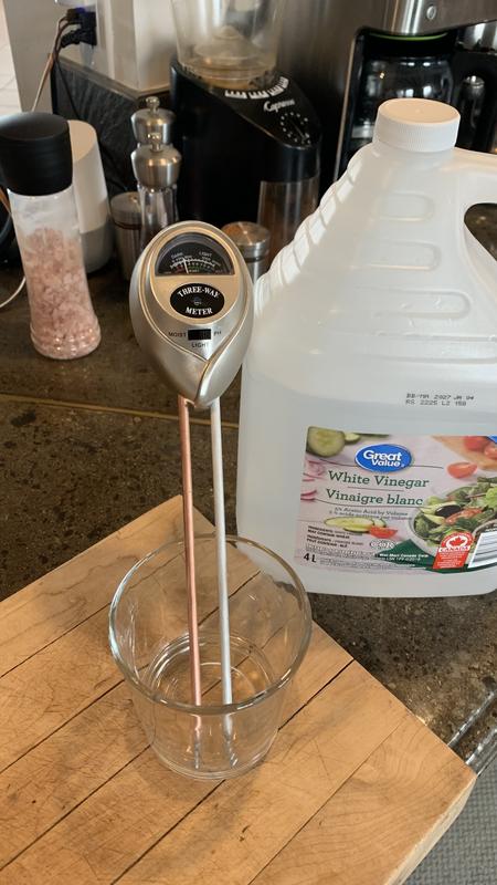 Testing vinegar - ie acidic