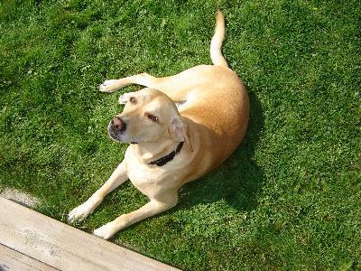 Photo - commentaire&nbsp;2.