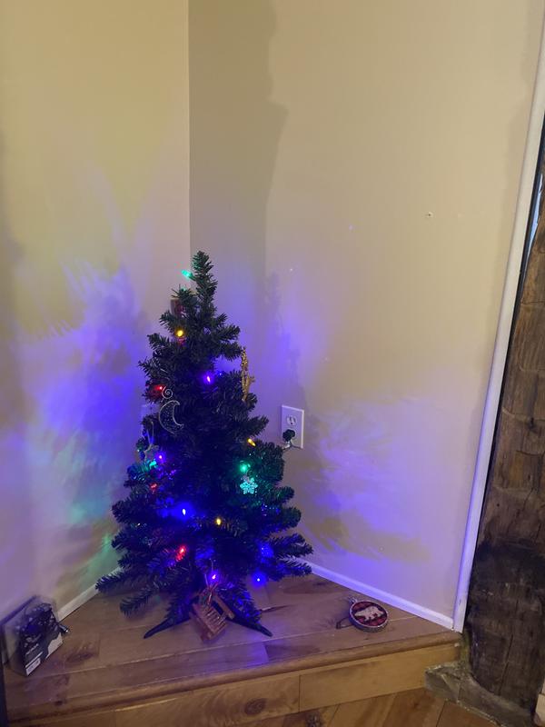 Photo - commentaire 3