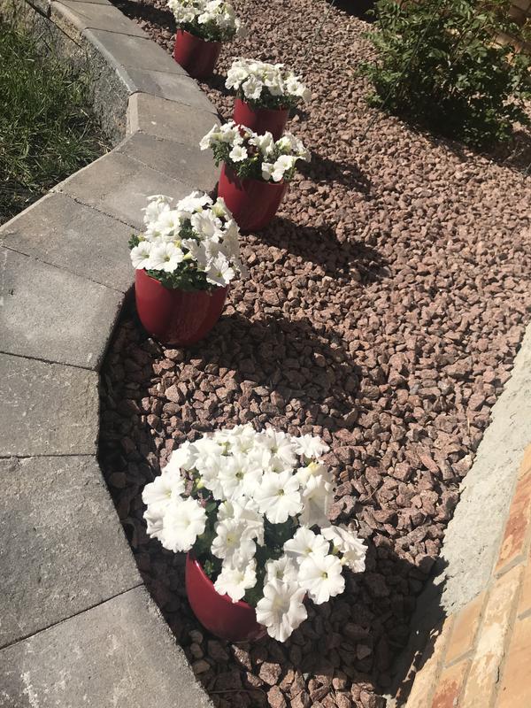 Photo - commentaire&nbsp;7.