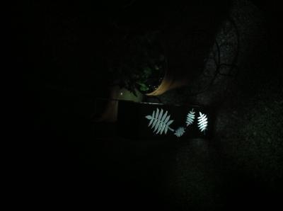 Photo - commentaire&nbsp;1.