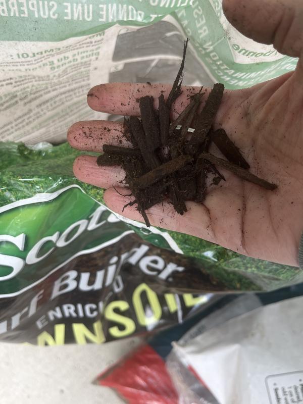 Photo - commentaire 1.