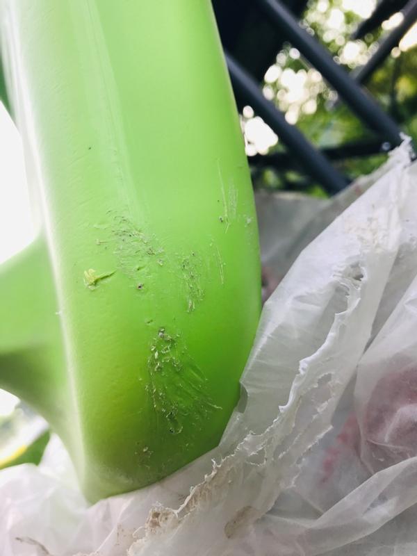 Encore des grafignes sur la planche, photo #4 !