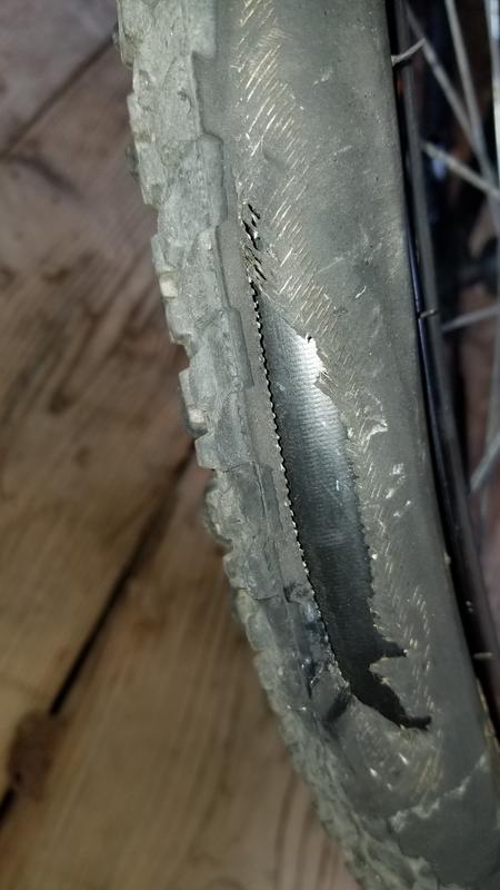 Photo - commentaire&nbsp;2.