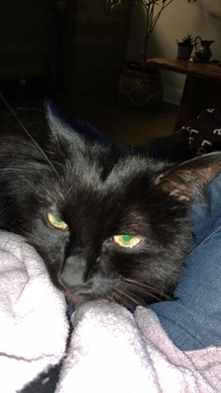 Photo - commentaire&nbsp;1.