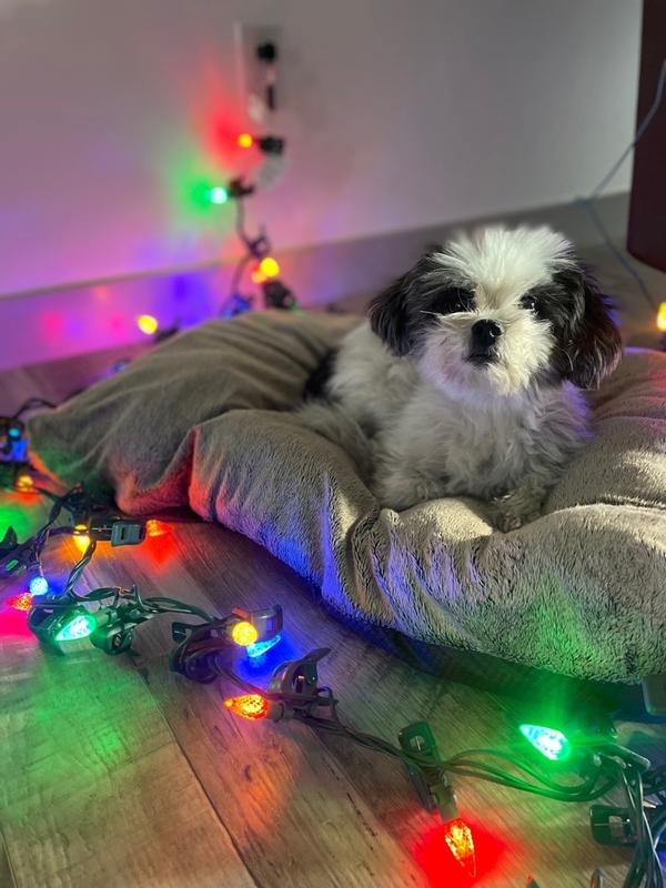 Photo - commentaire&nbsp;6.