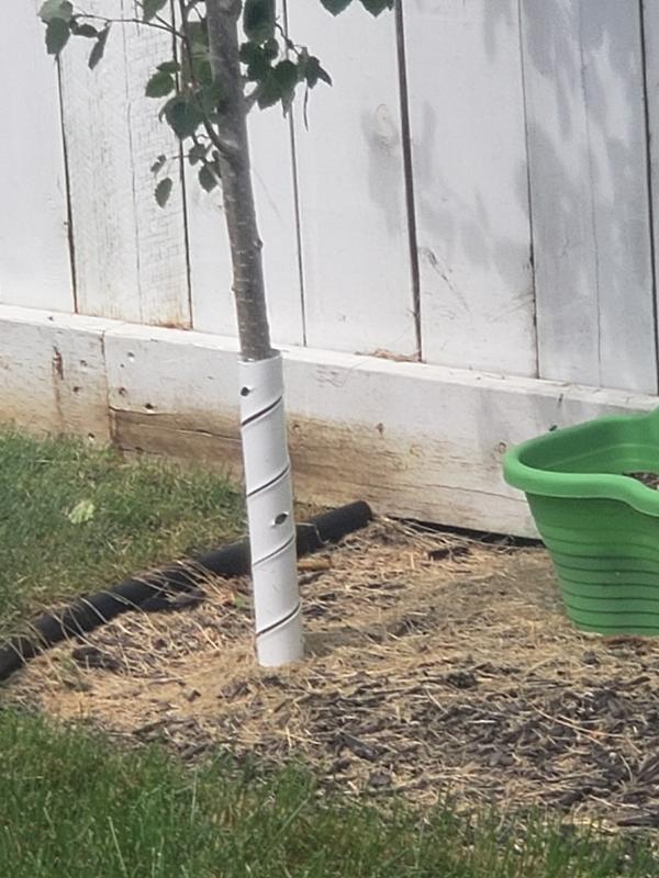 Photo - commentaire&nbsp;1.