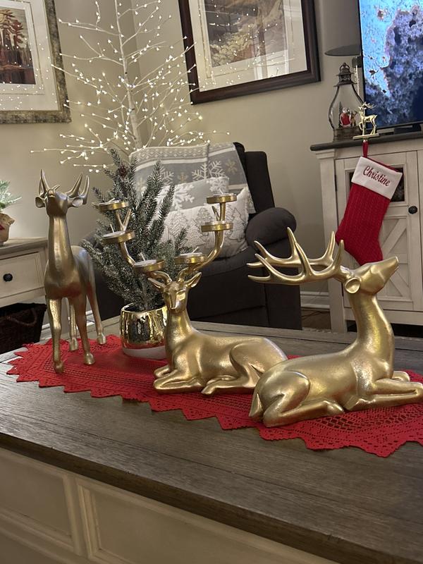 Photo - commentaire&nbsp;2.