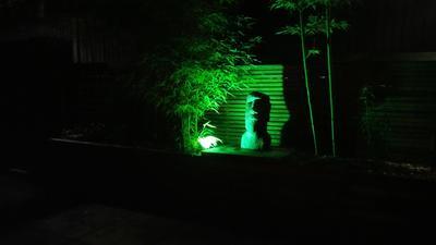 Moai with green lense