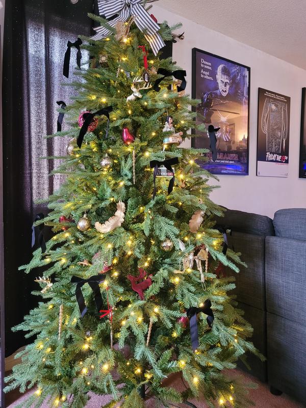 Photo - commentaire 3.