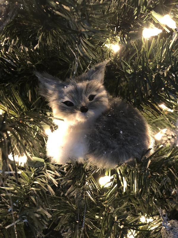 Furry fox on our tree