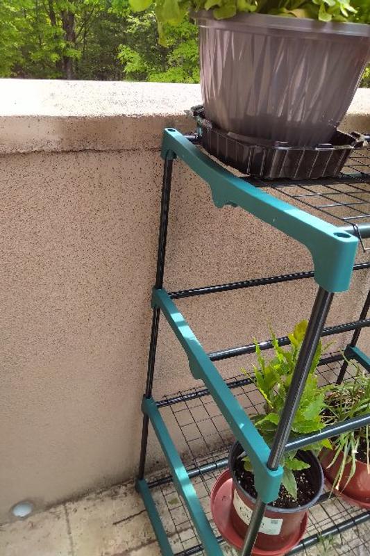 Bowed Shelf Support on Top Shelf