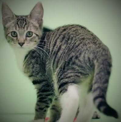 Photo - commentaire 2.