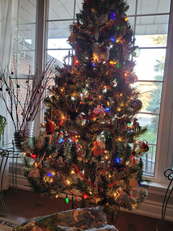 Photo - commentaire 1.