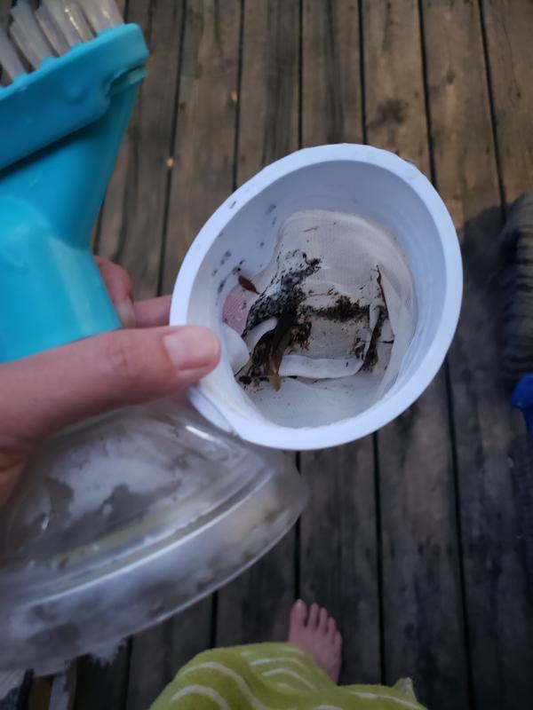 Photo - commentaire 5.