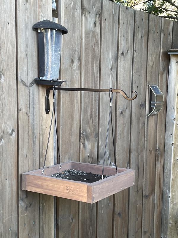 Photo - commentaire 2.