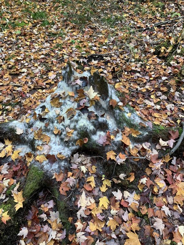 Photo - commentaire 3.