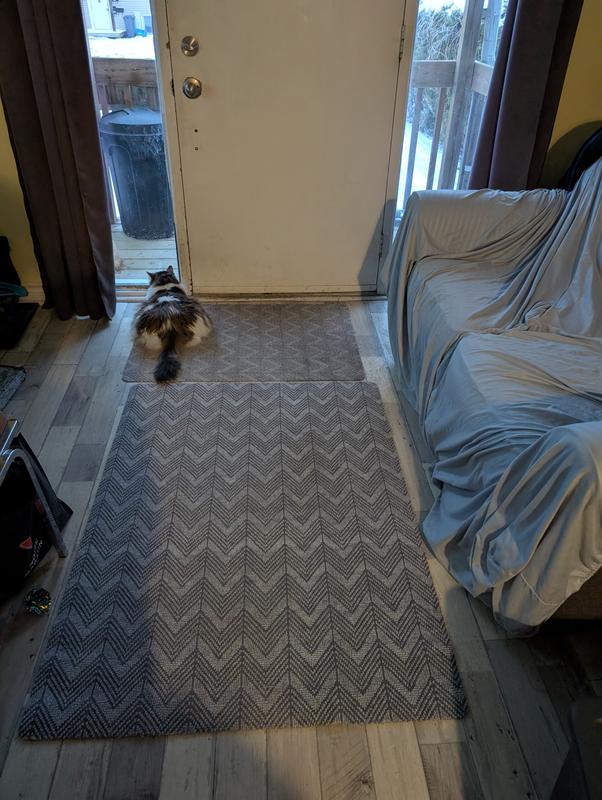 Even the cat likes my rugs!