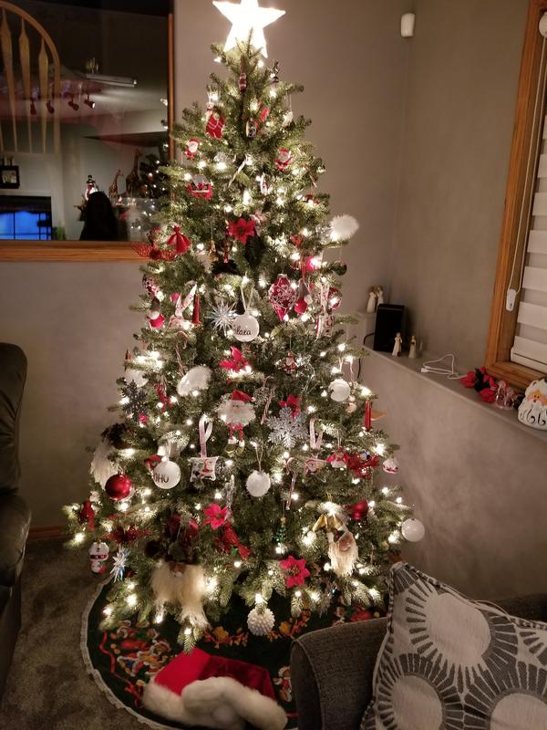 Photo - commentaire 1.