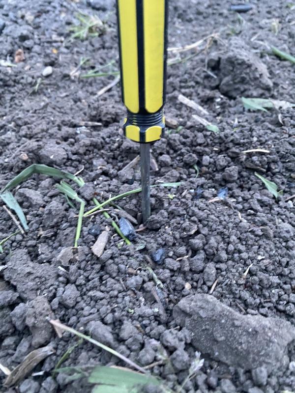 Photo - commentaire&nbsp;2.