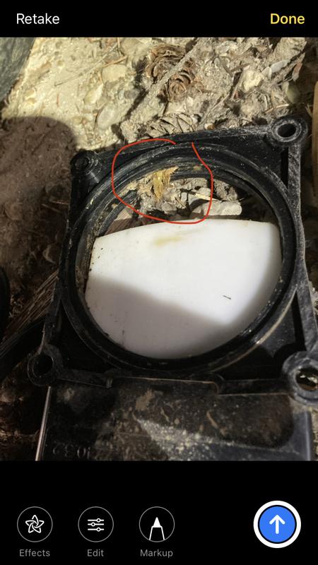 Blockage preventing seal.