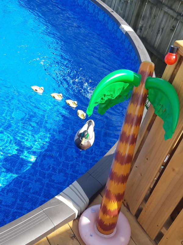 Photo - commentaire&nbsp;2.