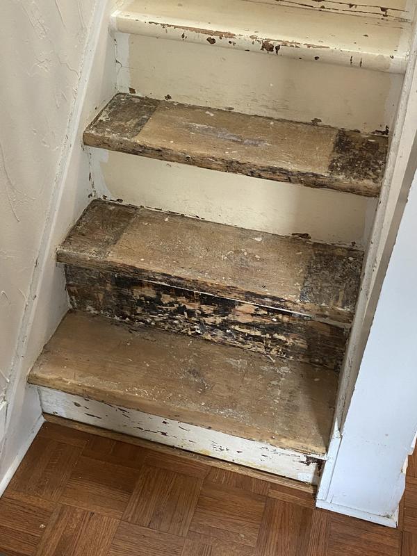 Stripping paint from stairs.