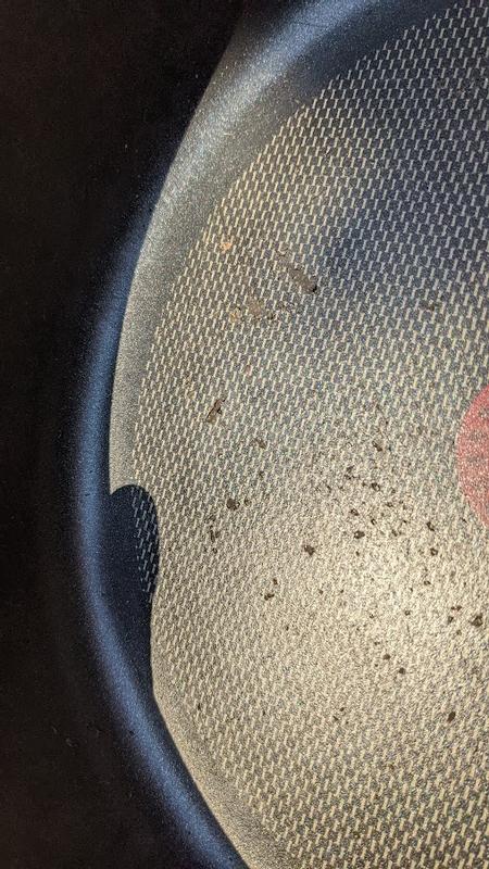 Photo - commentaire 2.