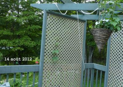 Je l'ai mis après ma pergola et dans ma boîte à fleurs