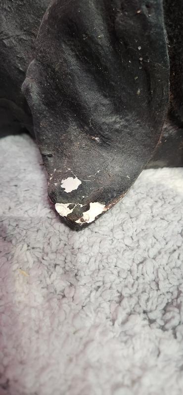 Photo - commentaire 2.