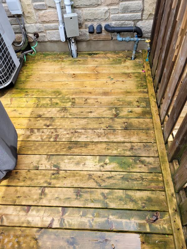 Algae after 30 sec treatment