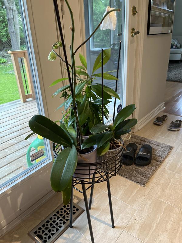 Photo - commentaire&nbsp;1.