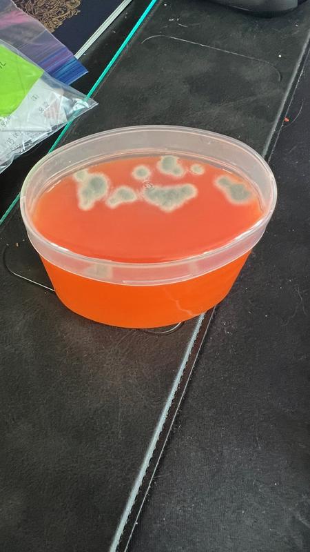 Simonize Multi-Purpose Gel