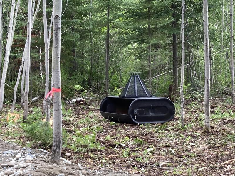 Photo - commentaire 2.