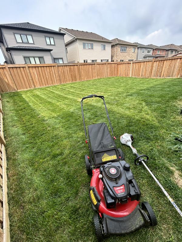 Photo - commentaire 2.