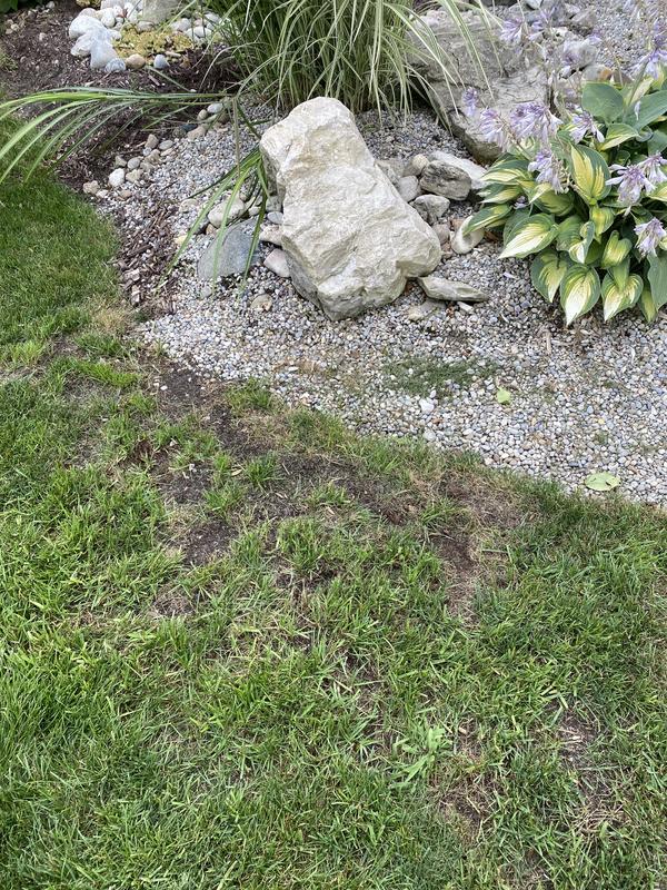 Photo - commentaire&nbsp;1.